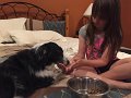 Jess_TakingCareOfDogs (1)
